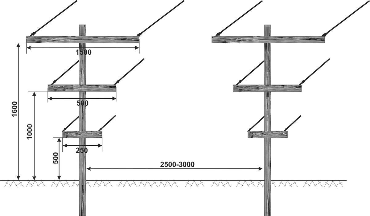 Т-образная шпалера для винограда чертеж