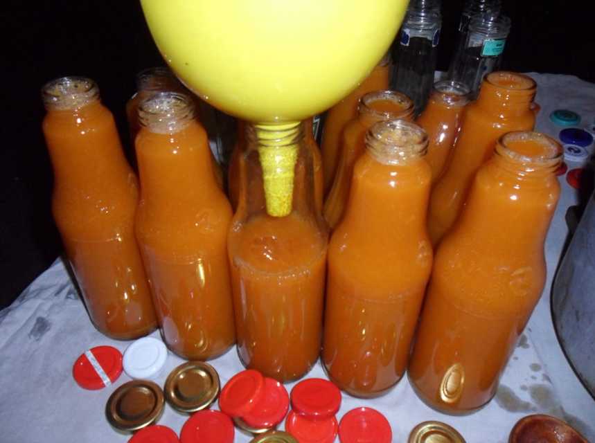 Как приготовить сок из абрикосов в домашних условиях: закатываем на зиму