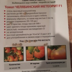 Как вырастить челябинский метеорит? полное описание и рекомендации по уходу за томатом
