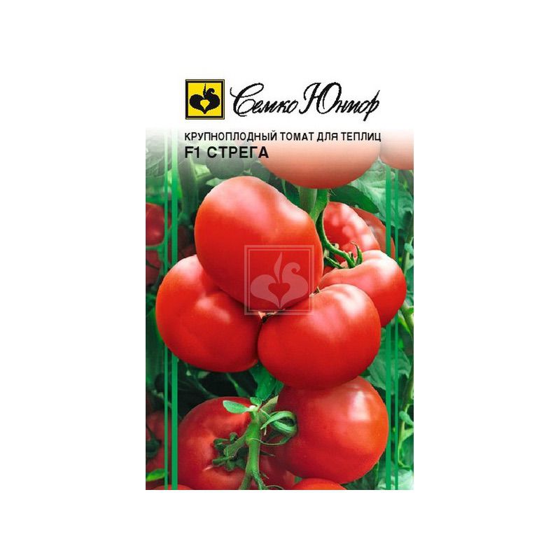 Описание сорта томата стрега его характеристика и урожайность - всё про сады