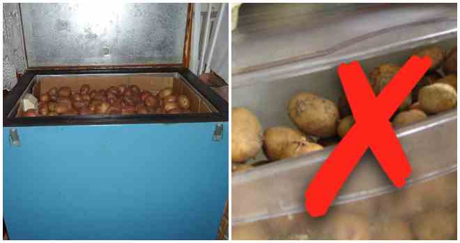 Что учитывать при хранении картофеля в погребе