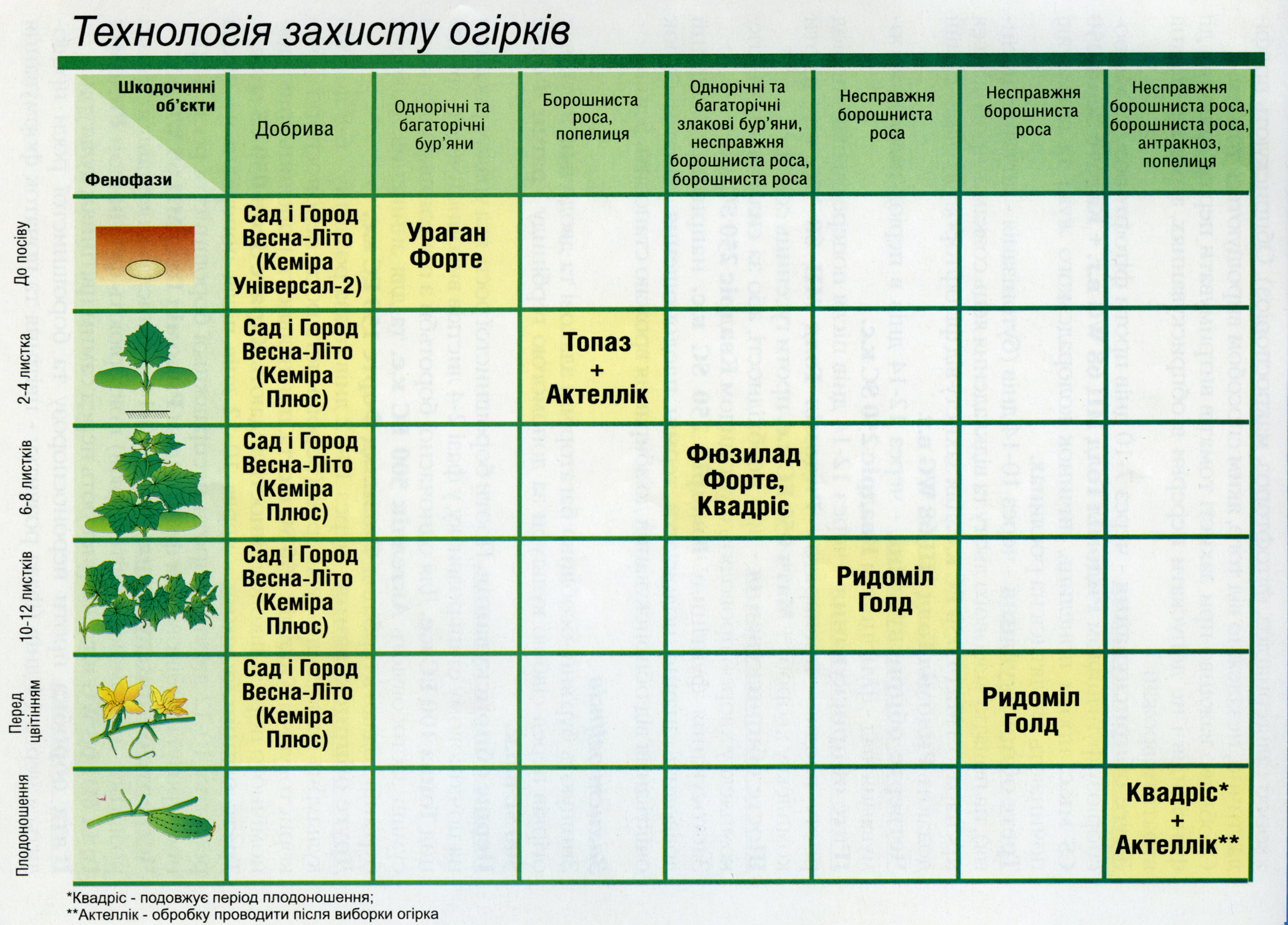 Схема подкормки деревьев