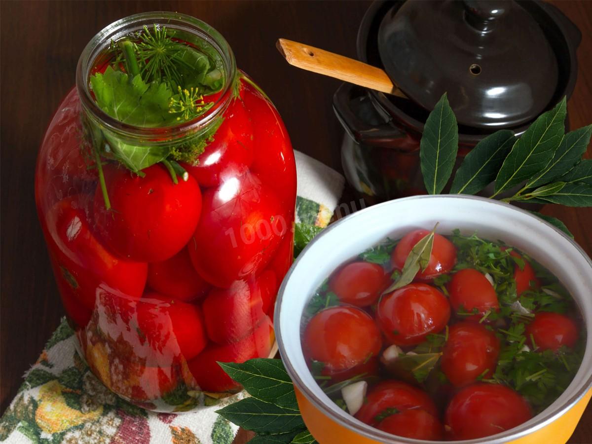 16 лучших рецептов быстрого приготовления маринованных помидоров на зиму