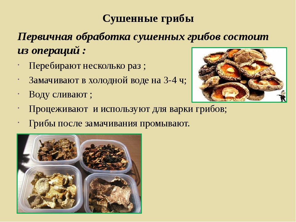 Перечный гриб: описание, отличия, приготовление | food and health