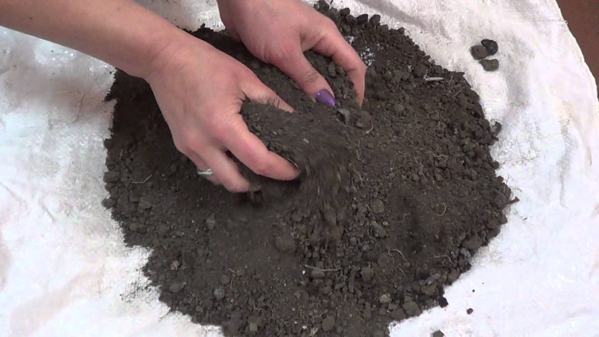Как подготовить почву для рассады томатов своими руками