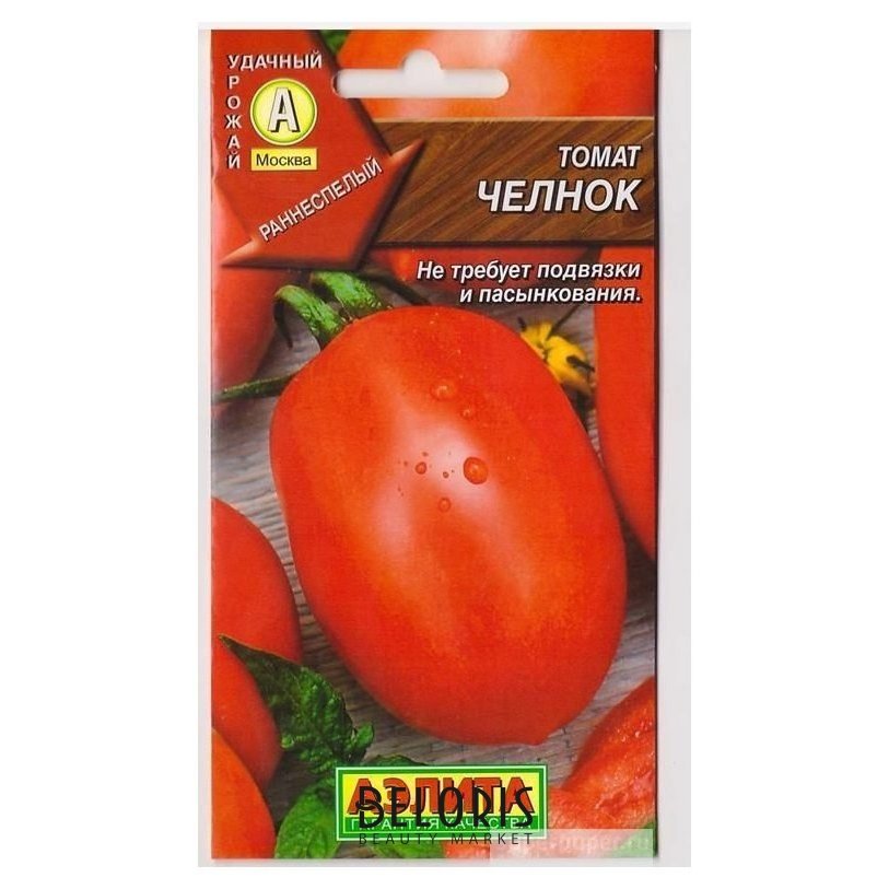 Как вырастить вкусные томаты сорта «челнок» и собрать хороший урожай