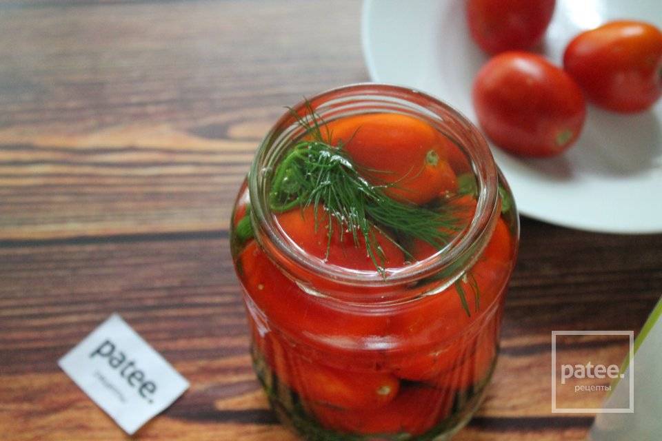 Зеленые помидоры с горчицей без закатывания. простой рецепт: квашеные зеленые томаты в ведре