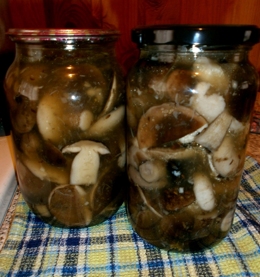 Маринованные белые грибы на зиму — 6 простых рецептов в банках