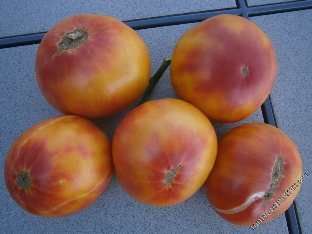 Томат грейпфрут — описание сорта, фото, урожайность и отзывы садоводов