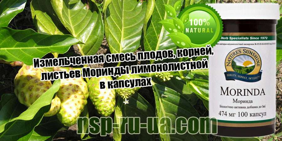 Моринда (100 капс.)  купить