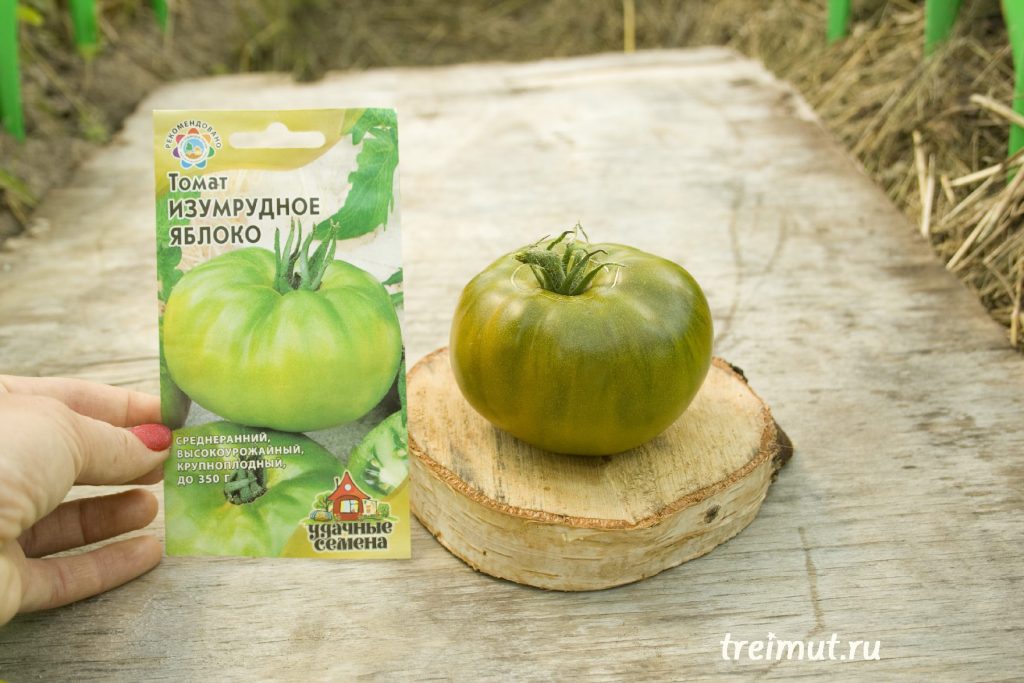 Штамбовые томаты: как вырастить, сорта для открытого грунта