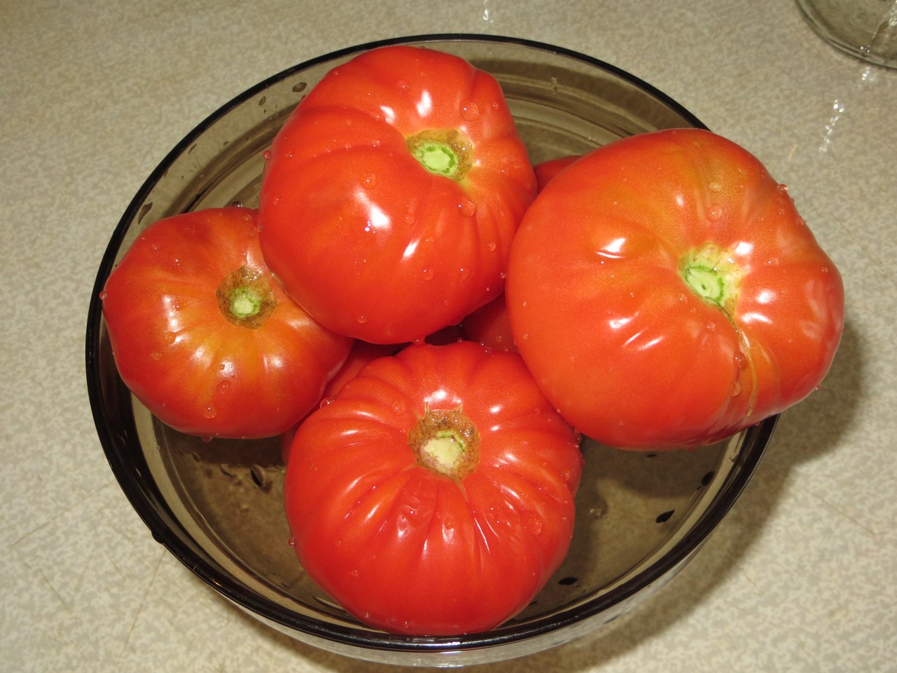 Описание лучших сортов помидоров для засолки и консервирования