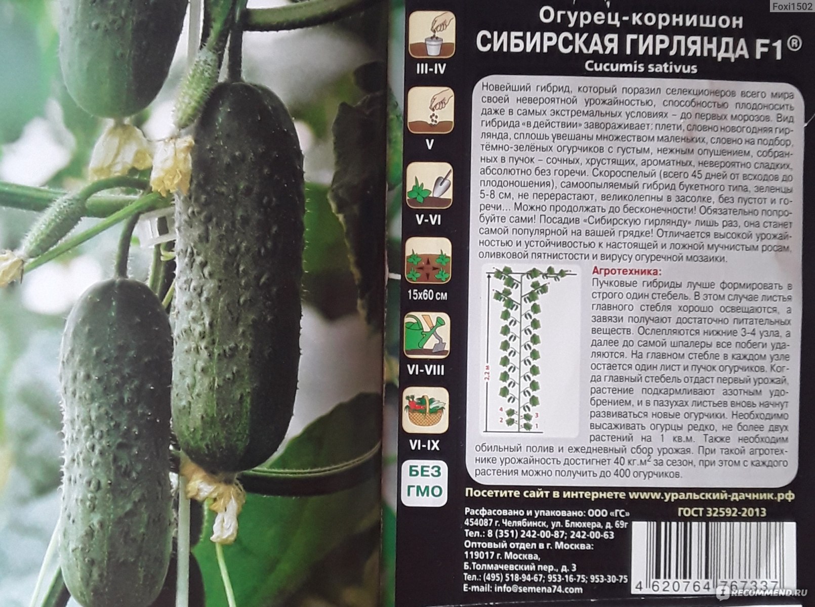 Описание сорта огурцов брейк, его характеристика и урожайность