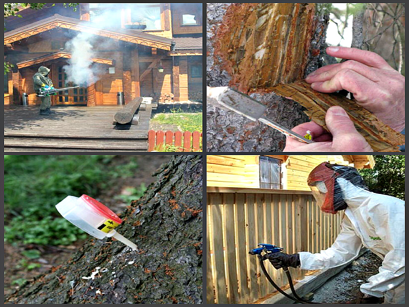 Средства для защиты древесины: обзор защитных пропиток и материалов для дерева
