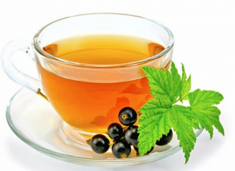 Листья черной смородины (в чае): рецепты, польза и противопоказания