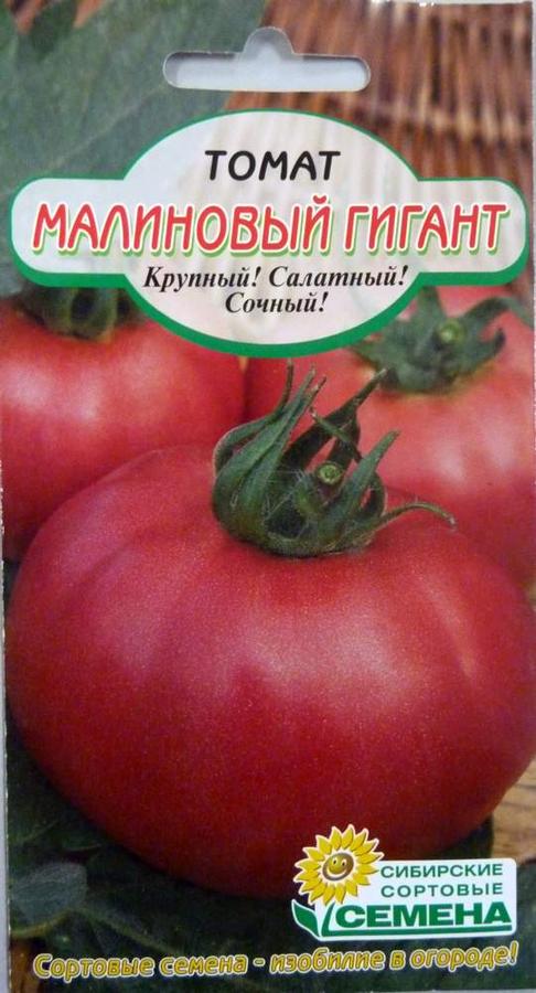 Описание и правила выращивания томата Малиновый рай