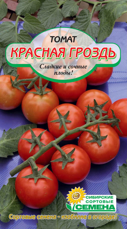 Сладкая гроздь томат описание и фото