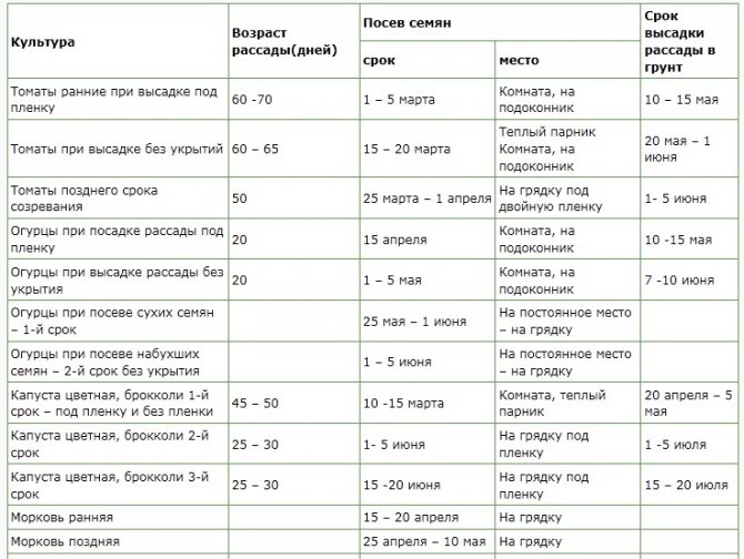 Сорта огурцов для ленинградской области для теплиц и открытого грунта