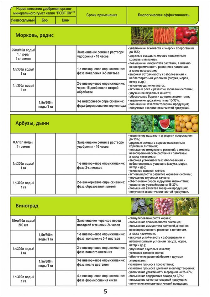 Персик — выращивание и уход. посадка, размножение, защита. сорта для различных регионов. фото — ботаничка.ru