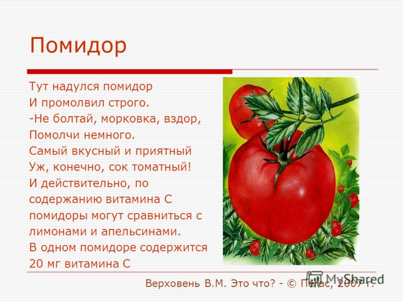 Какие витамины есть в помидорах: полезные витаминно-минеральные элементы и вредные вещества. помидоры — химический состав, пищевая ценность