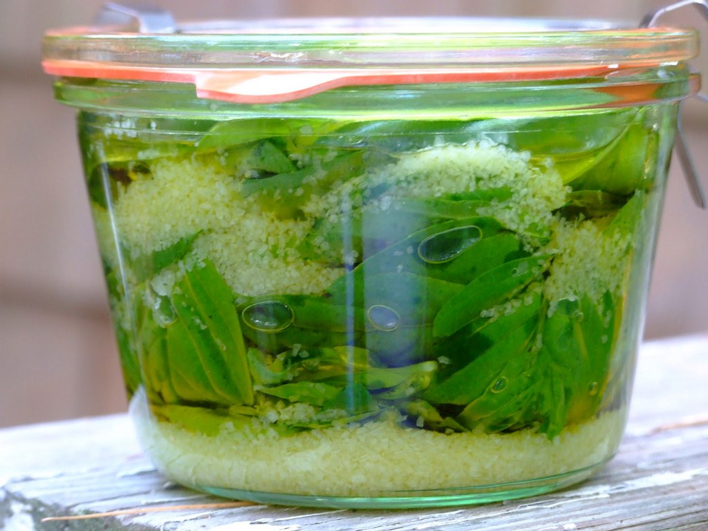 Как сохранить базилик в домашних условиях: где хранить базилик свежим, сколько хранится в холодильнике