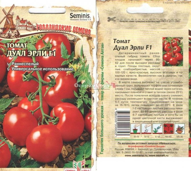 Лучшие ранние сорта детерминантных томатов для открытого грунта и теплиц устойчивые к фитофторе
