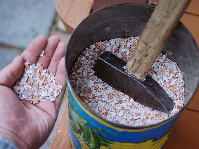 Компост (компостная куча) как приготовить своими руками на даче, варианты изготовления, чем поливать