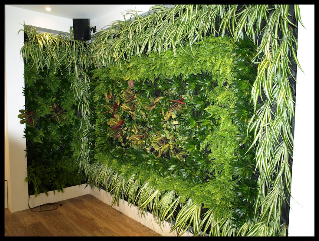 Как из искусственных растений сделать зеленую стену?