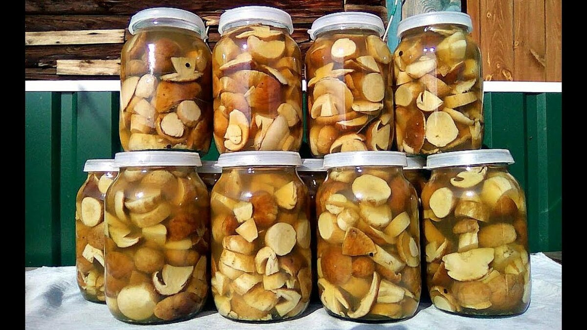 Как солить белые грибы в домашних условиях - простые рецепты приготовления в банках на зиму