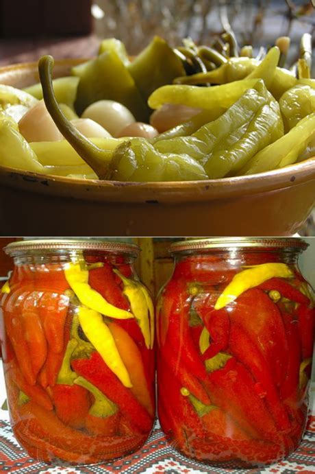 Как сохранить горький перец на зиму в домашних условиях в холодильнике в свежем виде? русский фермер