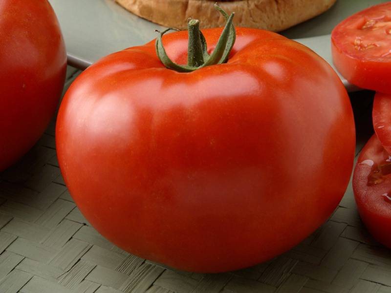 Голландский томат «биг биф f1»: что думают о голландском гибриде дачники и советы по выращиванию