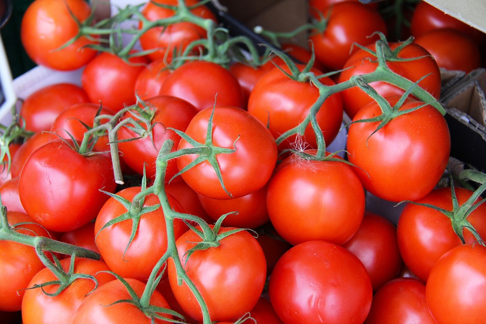 ᐉ томат «ричи» f1: описание сорта и рекомендации по выращиванию помидоры - orensad198.ru