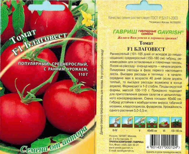Характеристика и описание томата сорта Благовест, урожайность и выращивание