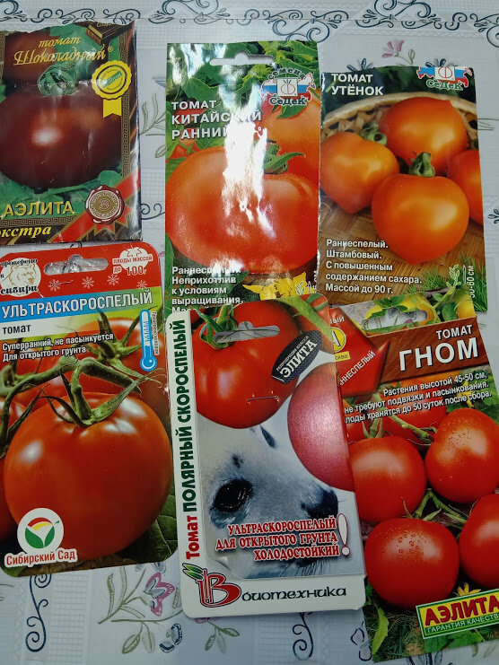 Сорта помидоров для открытого грунта: лучшие урожайные сорта. 125 фото и видео рекомендации экспертов