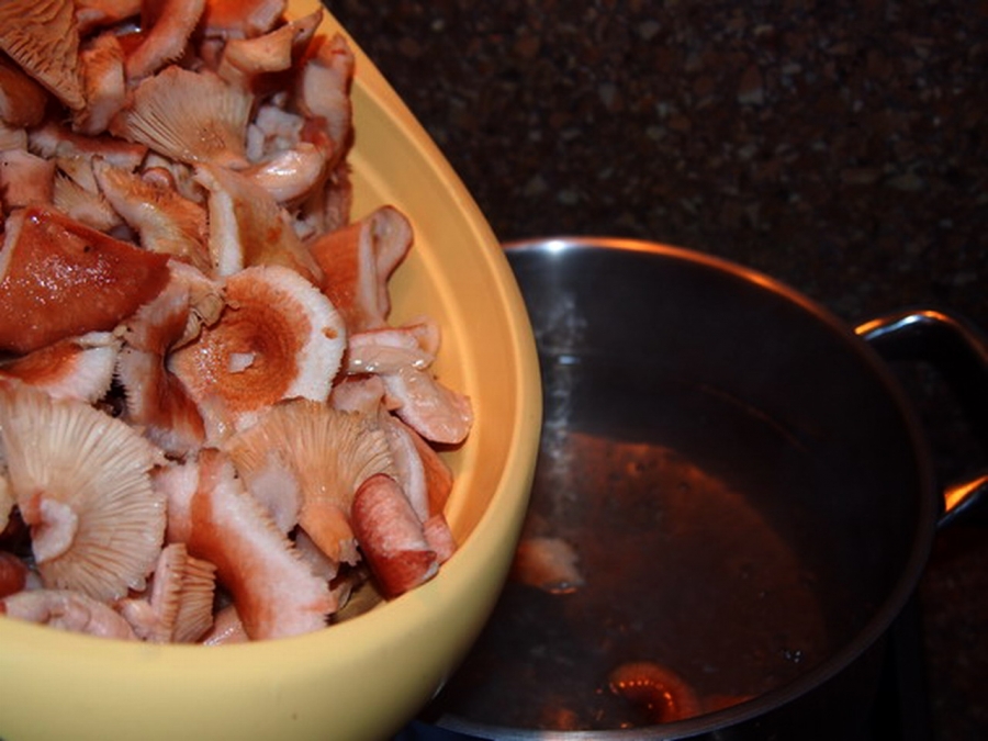 Рецепты приготовления маринованных рыжиков на зиму в домашних условиях