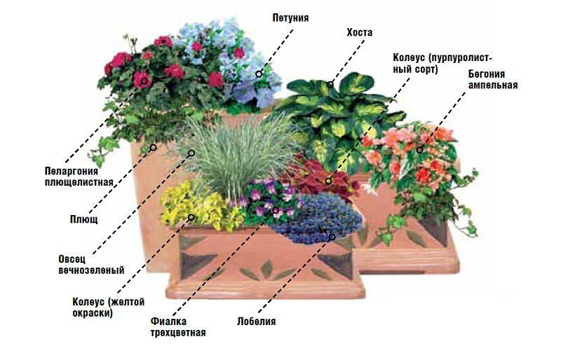 Полный обзор существующих видов клумб и цветников