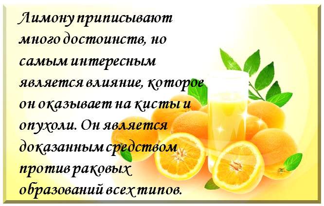 Лимон: чем полезен и его влияние на организм человека, свойства и противопоказания
