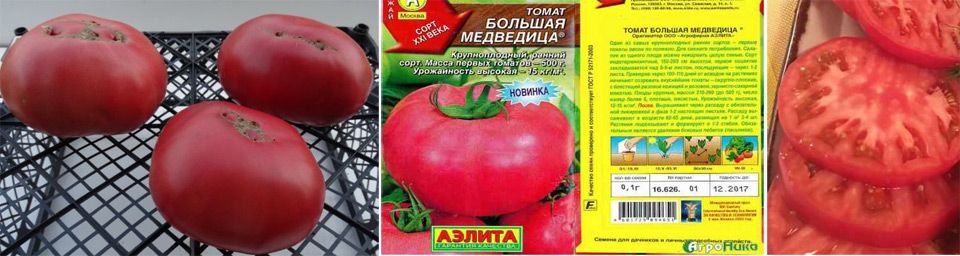 10 сортов и гибридов крупноплодных томатов-рекордсменов