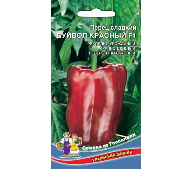 Сочный и урожайный перец «красный бык» для выращивания необычайно вкусных плодов на своем участке