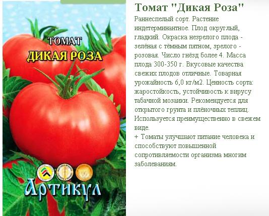 Томат казачка — описание и характеристика сорта | zdavnews.ru