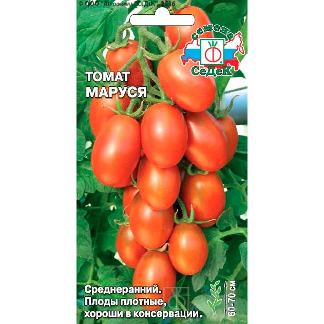 Томат «маруся»: характеристика и описание сорта, рекомендации по выращиванию вкусных помидоров, фото-материалы