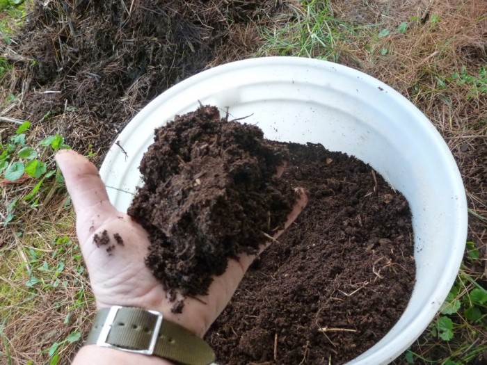 Состав грунта для рассады помидоров - готовим лучшую почвосмесь своими руками
