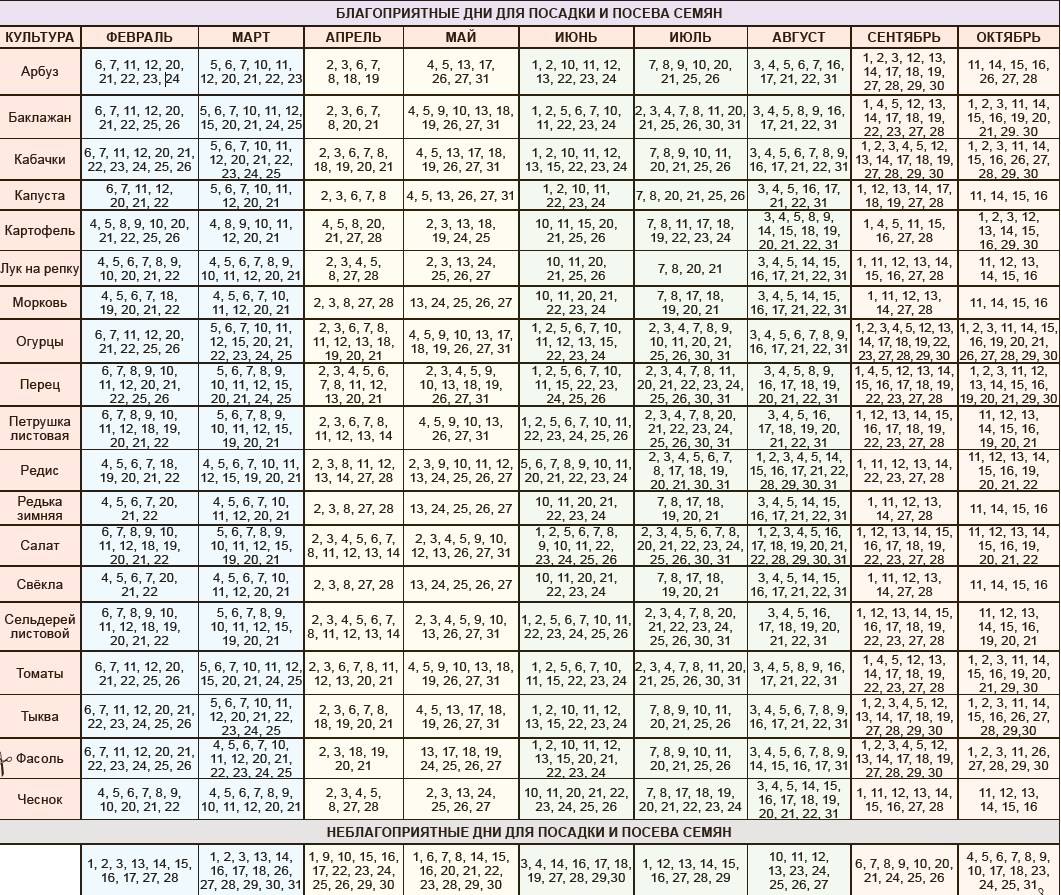 Когда сажать огурцы на рассаду в 2021 году по лунному календарю: таблица благоприятных дней для посадки огурцов по фазам луны