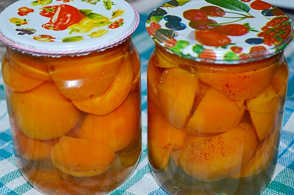 Заготовки из абрикосов на зиму - самые вкусные рецепты