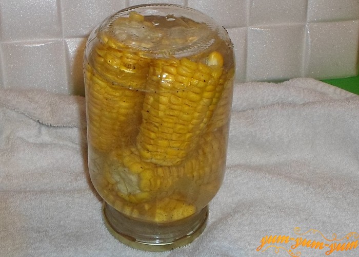 Как законсервировать кукурузу в домашних условиях