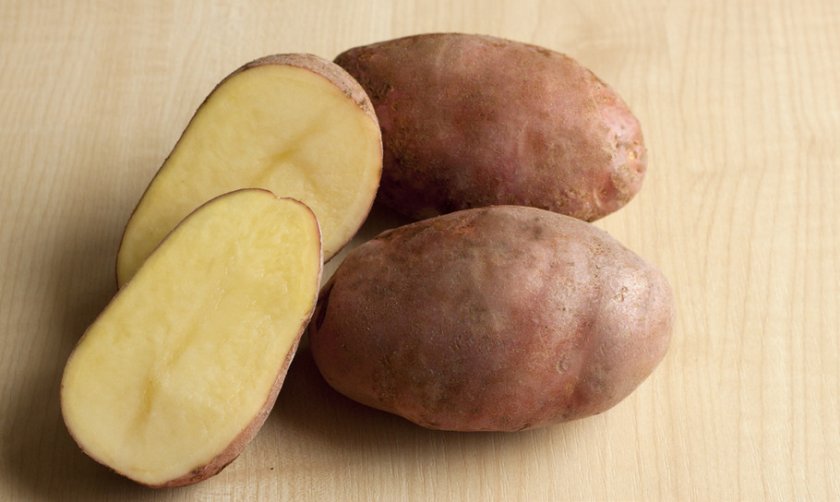 Лучшие сорта белого картофеля (с белой мякотью): описание и характеристика, фото