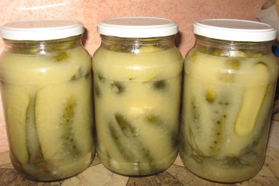 Огурцы в горчичной заливке: рецепты огурцов на зиму без стерилизации, в горчичном соусе