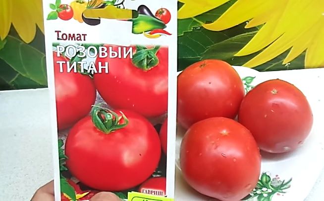 Томат «титан»: описание сорта, фото, рекомендации по выращиванию и основные характеристики помидоры русский фермер