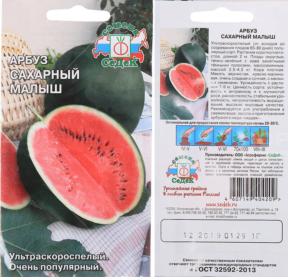 ✅ все о сорте арбуза сахарный малыш: описание, агротехника выращивания - tehnomir32.ru