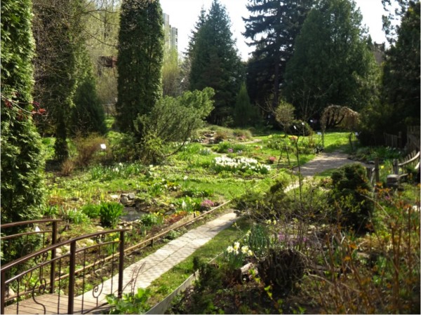 Главный ботанический сад в москве – парк для отдыха души и тела